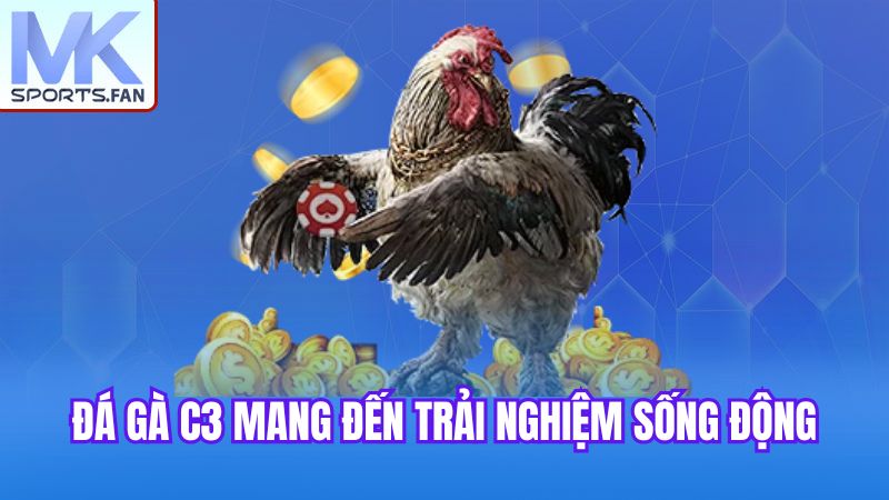 da-ga-c3-mang-den-trai-nghiem-song-dong