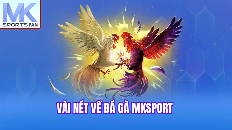 vai-net-ve-da-ga-mksport